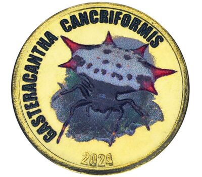  Монета 2 фунта 2024 «Рогатый паук» Чили (Остров Чилоэ), фото 1 