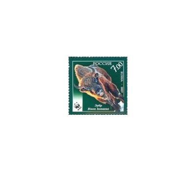  3 почтовые марки «Фауна. Исчезающие виды животных» 2007, фото 4 