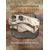  Сувенирный набор в художественной обложке «Палеонтологическое наследие России» (2-я форма выпуска), фото 1 