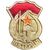  Значок «Ветеран Великой Отечественной Войны» СССР, фото 1 
